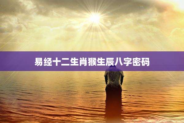 易经十二生肖猴生辰八字密码