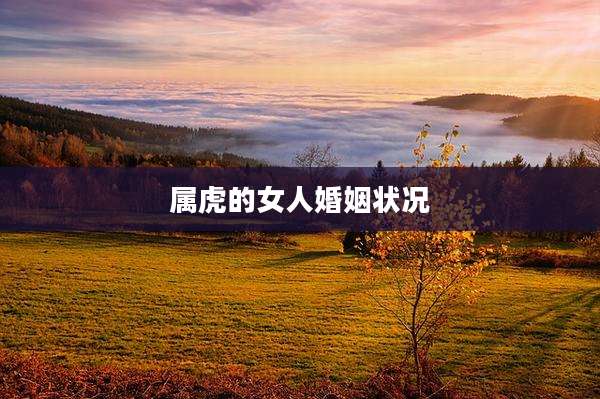 属虎的女人婚姻状况
