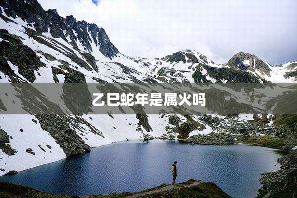 乙巳蛇年是属火吗