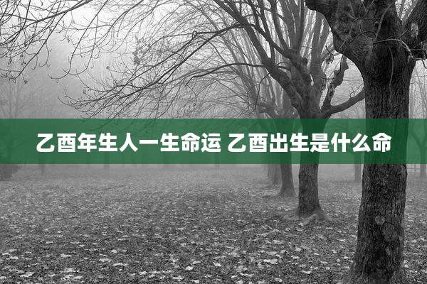 乙酉年生人一生命运 乙酉出生是什么命