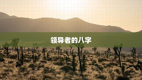 领导者的八字