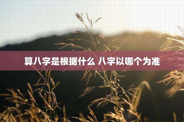 算八字是根据什么 八字以哪个为准
