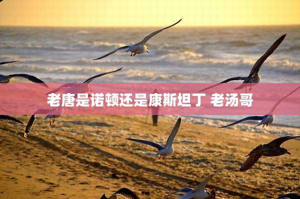 老唐是诺顿还是康斯坦丁 老汤哥