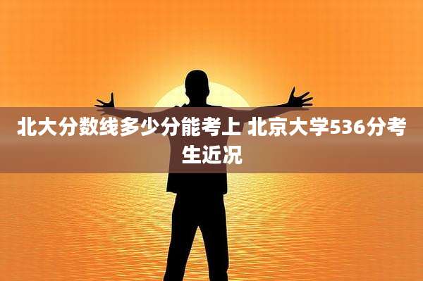 北大分数线多少分能考上 北京大学536分考生近况