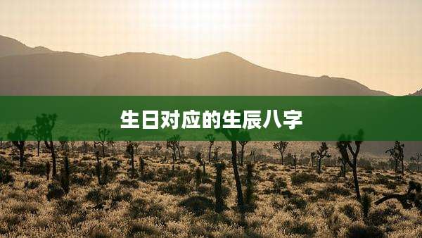生日对应的生辰八字