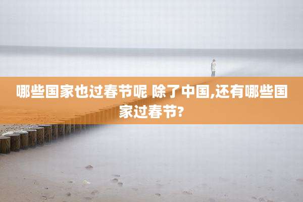 哪些国家也过春节呢 除了中国,还有哪些国家过春节?