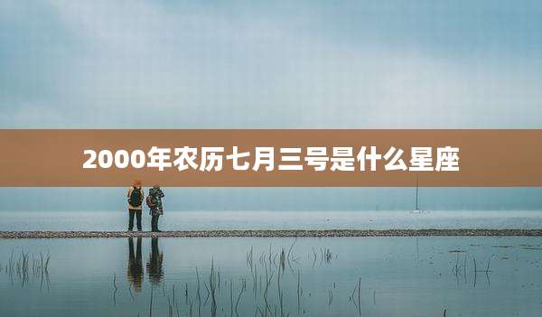 2000年农历七月三号是什么星座