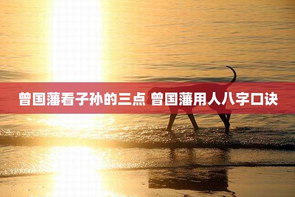 曾国藩看子孙的三点 曾国藩用人八字口诀