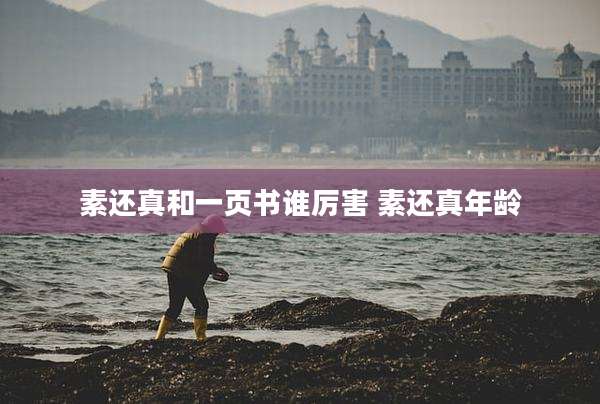 素还真和一页书谁厉害 素还真年龄