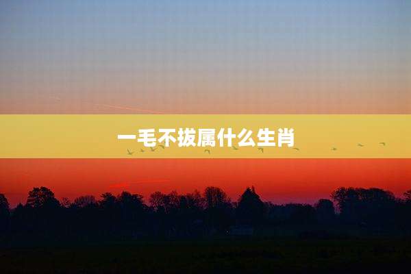 一毛不拔属什么生肖