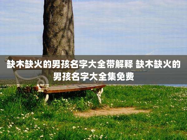 缺木缺火的男孩名字大全带解释 缺木缺火的男孩名字大全集免费