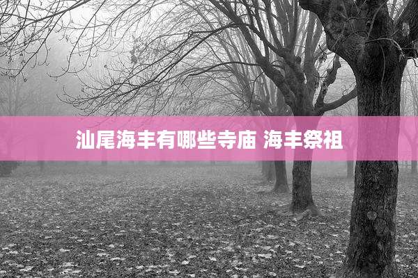 汕尾海丰有哪些寺庙 海丰祭祖