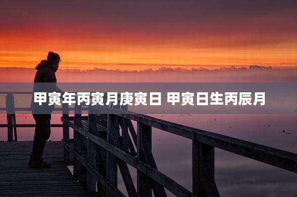 甲寅年丙寅月庚寅日 甲寅日生丙辰月