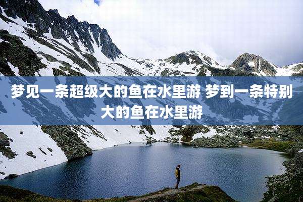 梦见一条超级大的鱼在水里游 梦到一条特别大的鱼在水里游