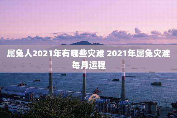 属兔人2021年有哪些灾难 2021年属兔灾难每月运程