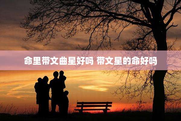 命里带文曲星好吗 带文星的命好吗