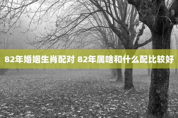 82年婚姻生肖配对 82年属啥和什么配比较好