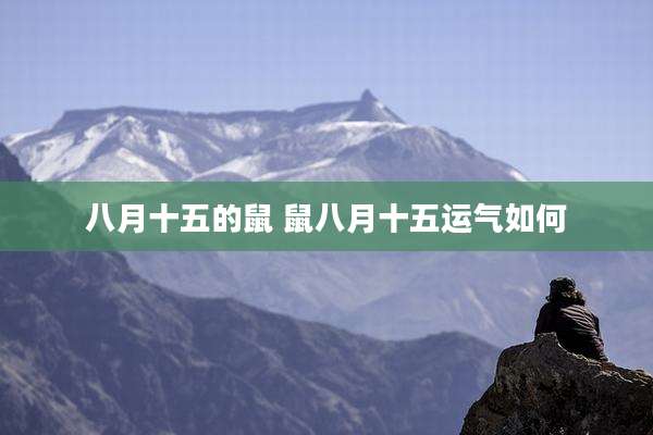 八月十五的鼠 鼠八月十五运气如何