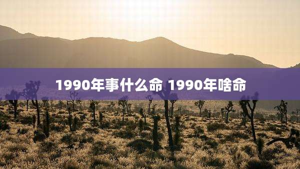 1990年事什么命 1990年啥命