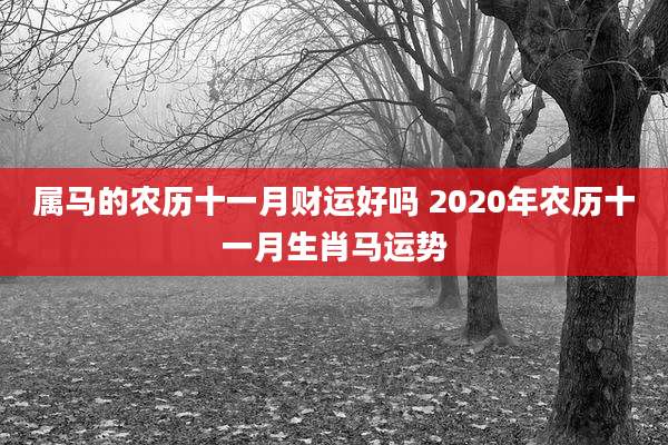 属马的农历十一月财运好吗 2020年农历十一月生肖马运势