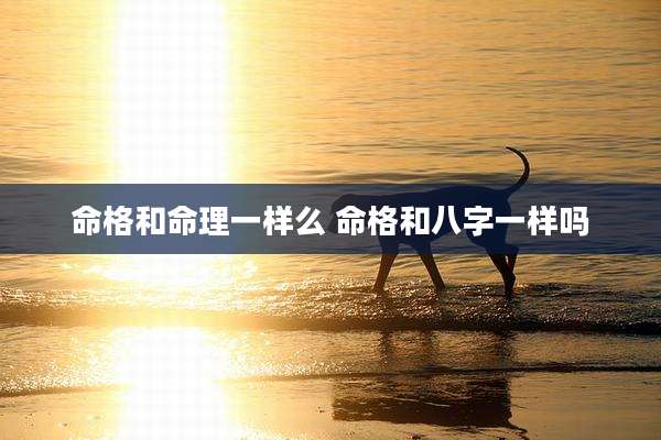 命格和命理一样么 命格和八字一样吗