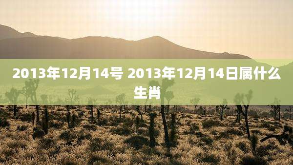 2013年12月14号 2013年12月14日属什么生肖