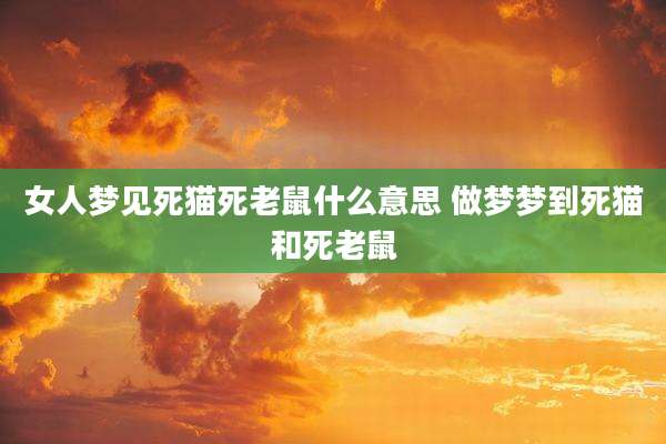 女人梦见死猫死老鼠什么意思 做梦梦到死猫和死老鼠