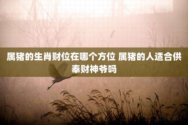 属猪的生肖财位在哪个方位 属猪的人适合供奉财神爷吗