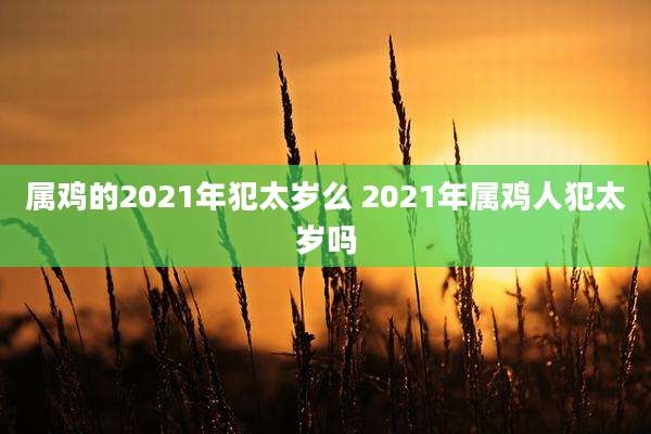 属鸡的2021年犯太岁么 2021年属鸡人犯太岁吗