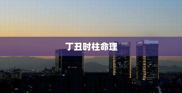 丁丑时柱命理