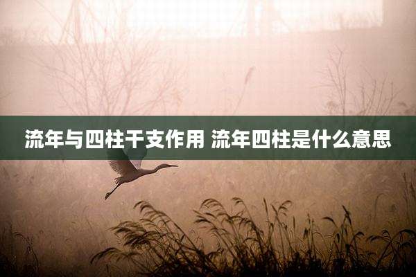 流年与四柱干支作用 流年四柱是什么意思