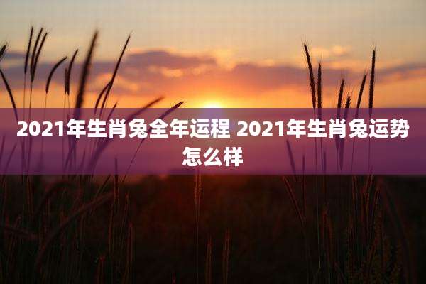 2021年生肖兔全年运程 2021年生肖兔运势怎么样