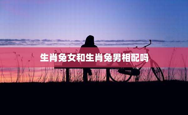 生肖兔女和生肖兔男相配吗