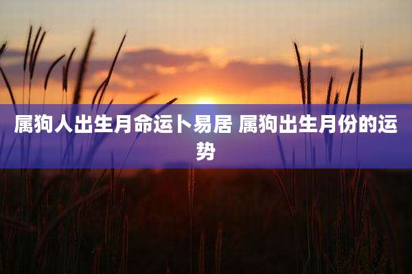 属狗人出生月命运卜易居 属狗出生月份的运势