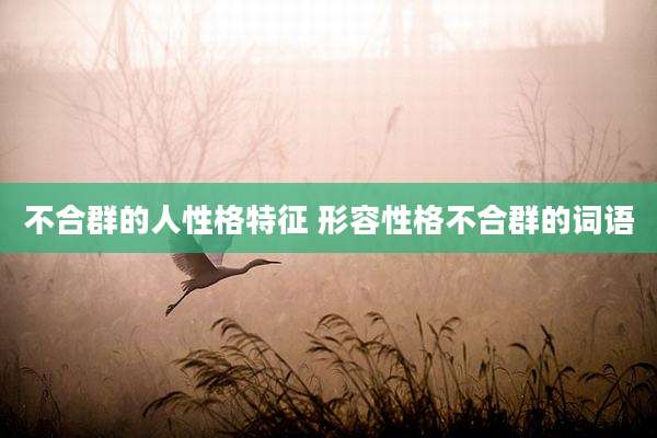 不合群的人性格特征 形容性格不合群的词语
