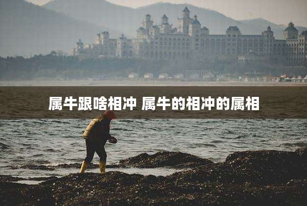 属牛跟啥相冲 属牛的相冲的属相