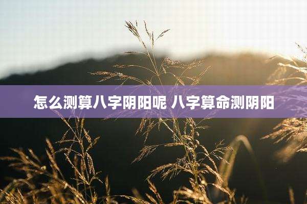 怎么测算八字阴阳呢 八字算命测阴阳