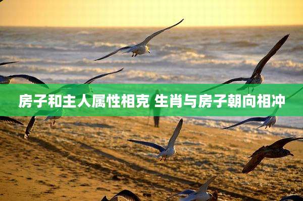 房子和主人属性相克 生肖与房子朝向相冲