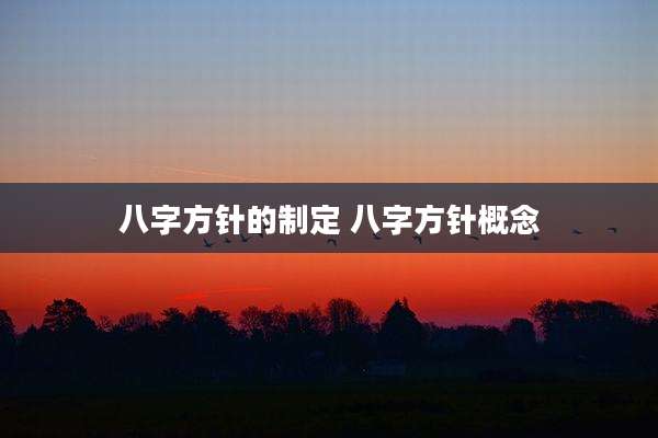 八字方针的制定 八字方针概念