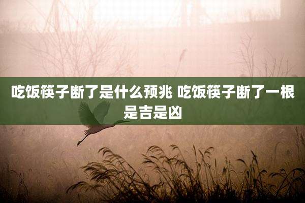 吃饭筷子断了是什么预兆 吃饭筷子断了一根是吉是凶