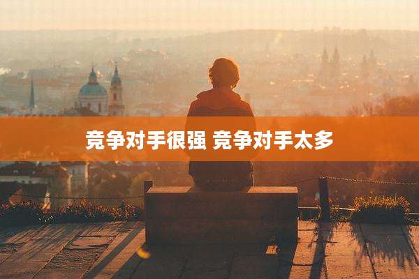 竞争对手很强 竞争对手太多