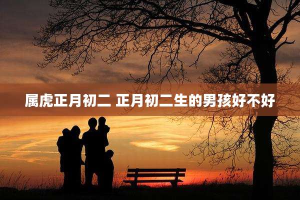 属虎正月初二 正月初二生的男孩好不好