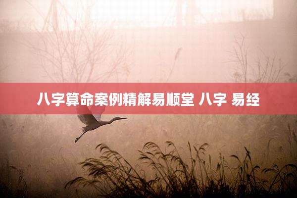 八字算命案例精解易顺堂 八字 易经