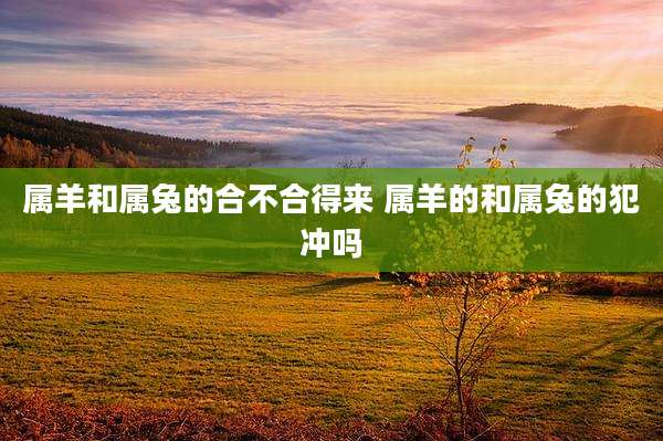 属羊和属兔的合不合得来 属羊的和属兔的犯冲吗