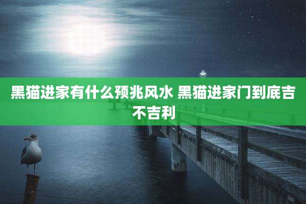 黑猫进家有什么预兆风水 黑猫进家门到底吉不吉利