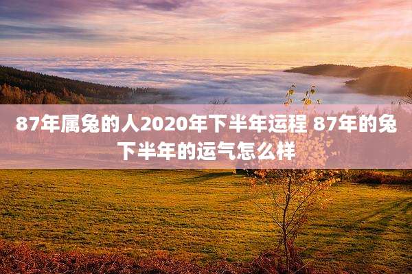 87年属兔的人2020年下半年运程 87年的兔下半年的运气怎么样