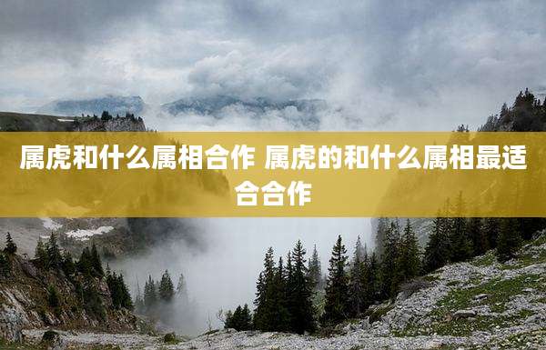 属虎和什么属相合作 属虎的和什么属相最适合合作