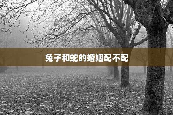 兔子和蛇的婚姻配不配