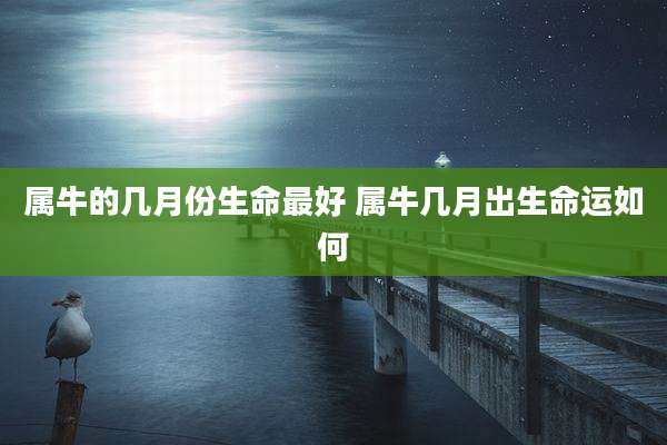 属牛的几月份生命最好 属牛几月出生命运如何