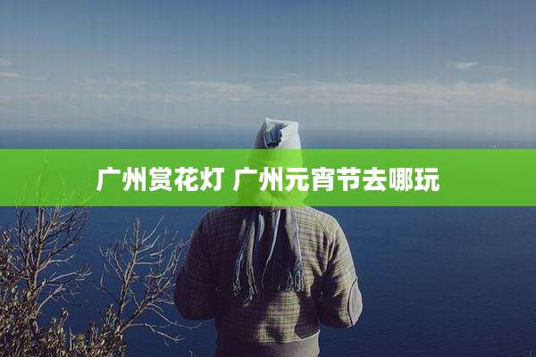广州赏花灯 广州元宵节去哪玩